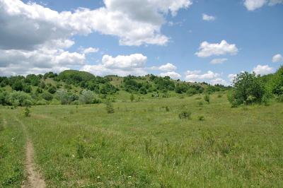 Прикрепленное изображение: IMGP6599.jpg